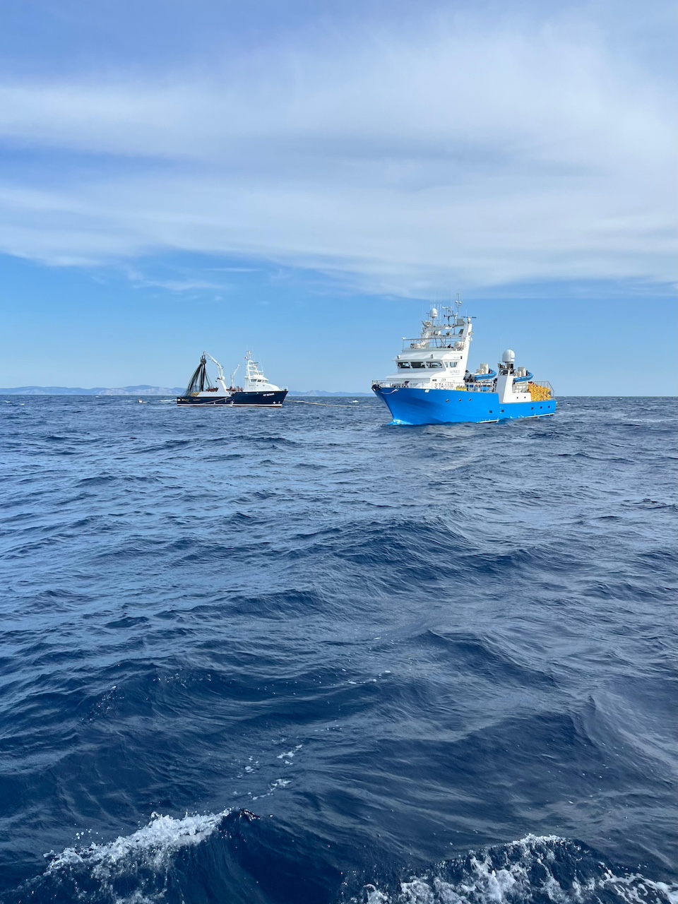 A frota de Balfegó captura 3.087 toneladas de atum rabilho em 12 dias de pesca efetiva