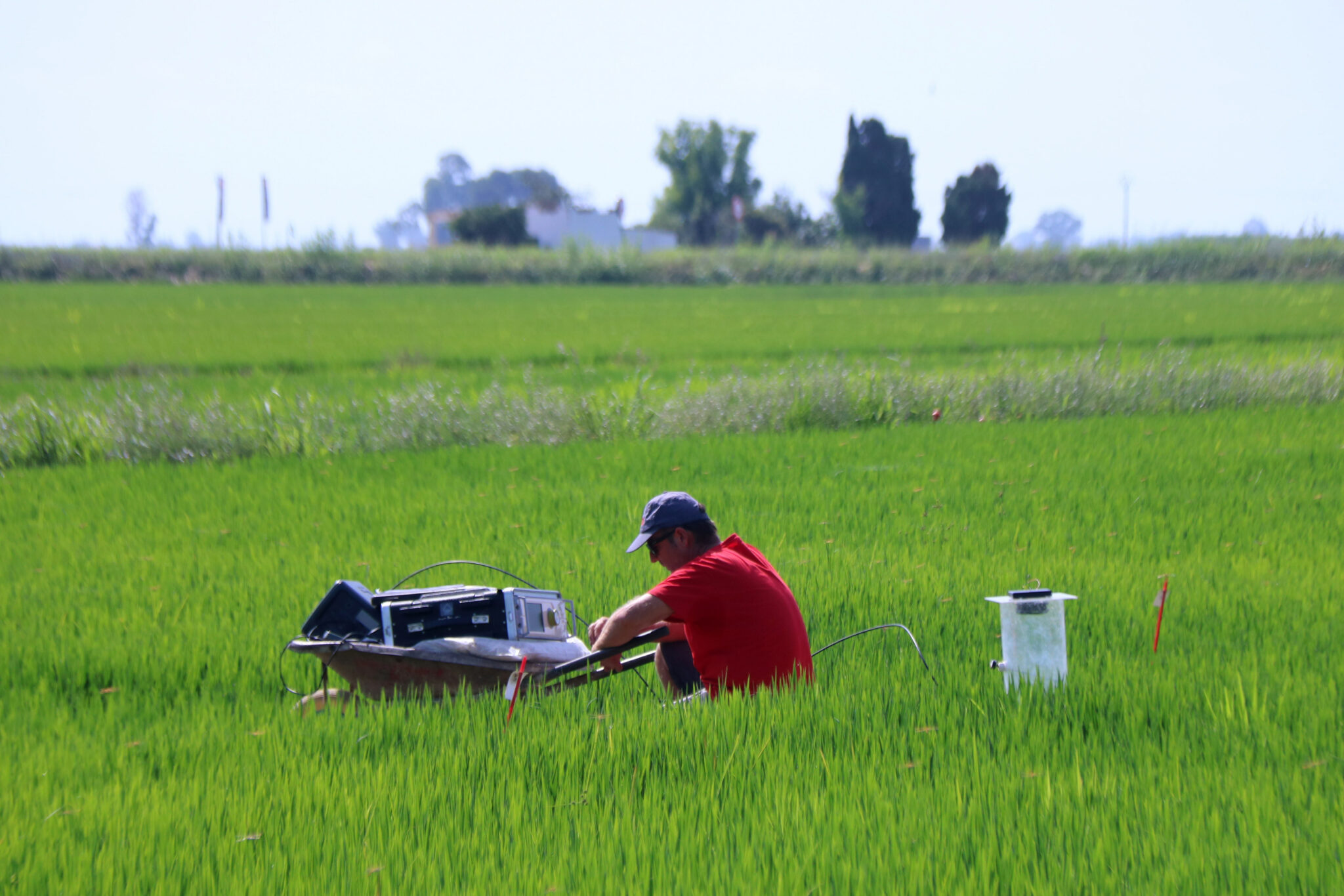 Fertilização orgânica, cobertura vegetal ou evitar aração: a agricultura regenerativa abre caminho às alterações climáticas