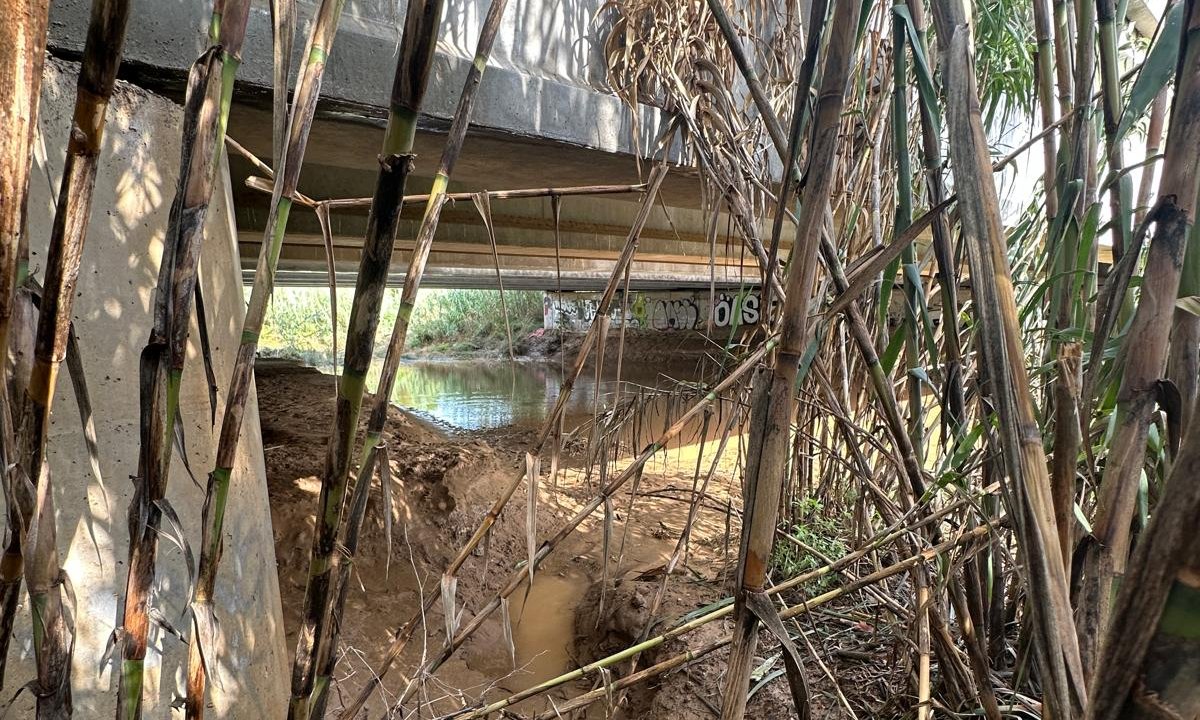 Os moradores de Molí de la Torre, indignados com o estado do riacho Maspujols: “Estamos alertando que isso é um perigo”